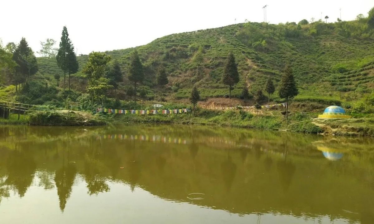 Bhangzang Salamander Lake Kurseong