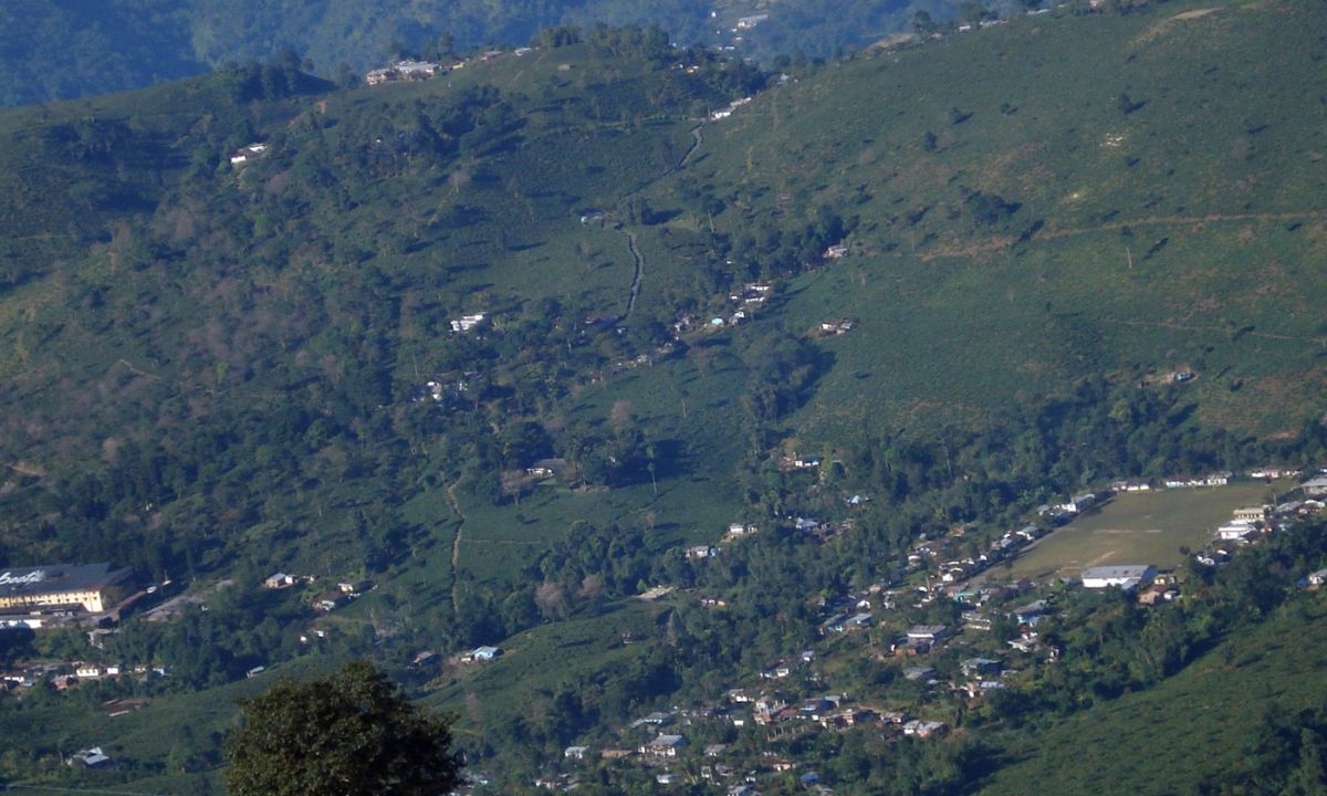Ambootia Tea Estate Kurseong