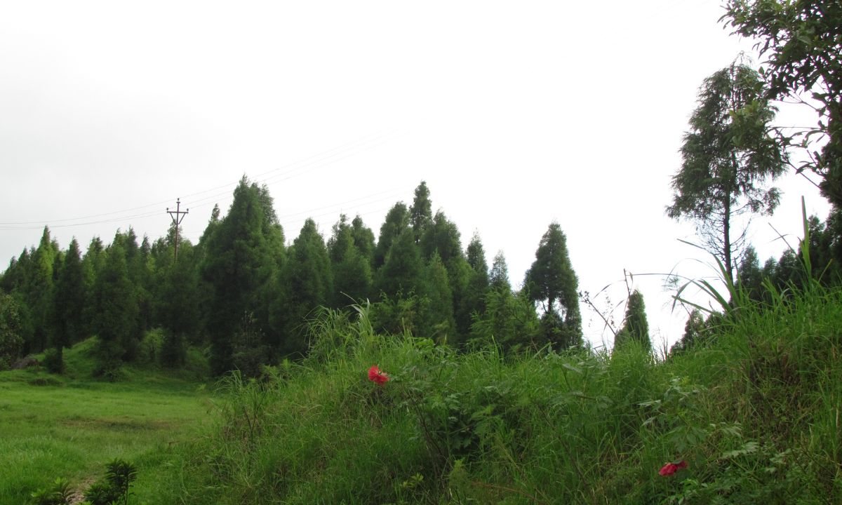 Chimney Tourist Place Kurseong