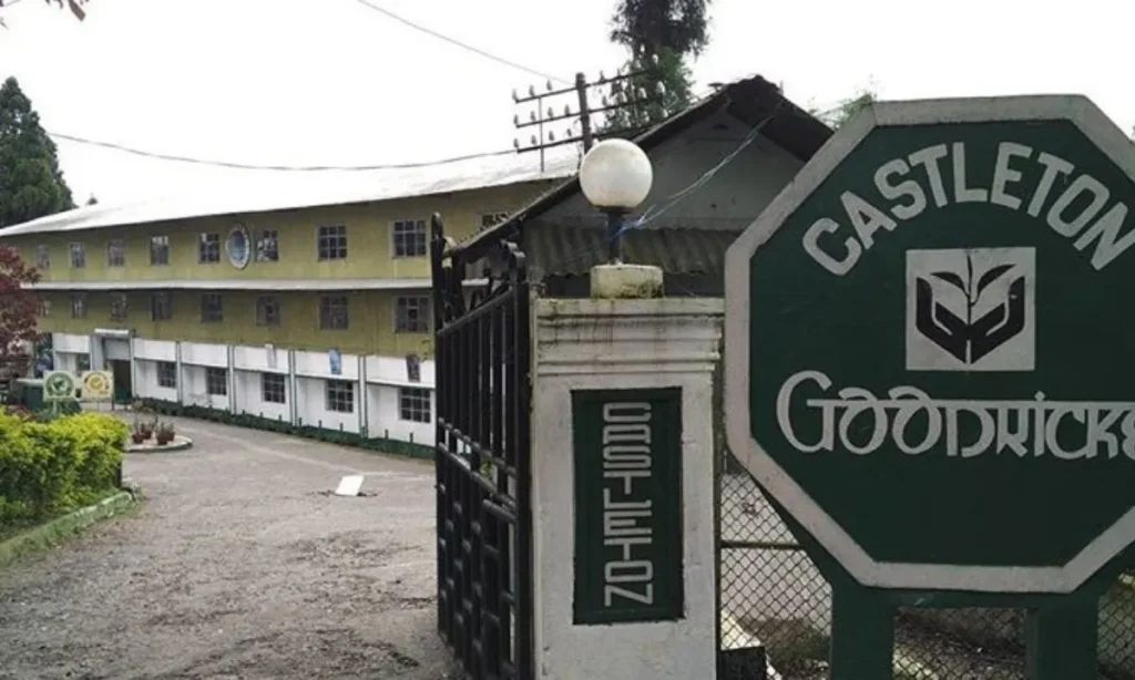 Castleton Tea Gardens Kurseong
