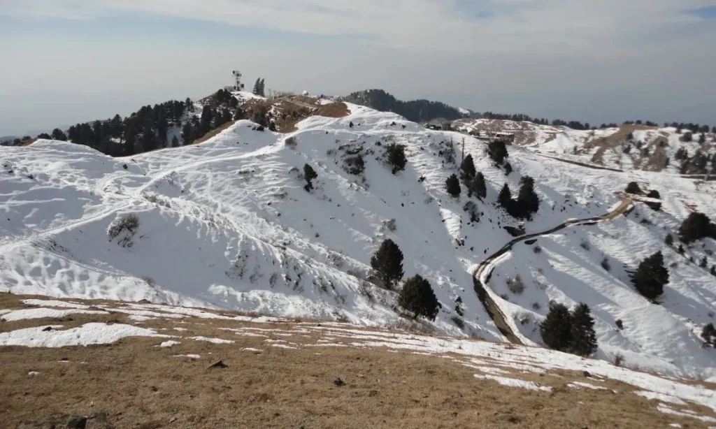 Travelers Guide to Dainkund Peak Dalhousie