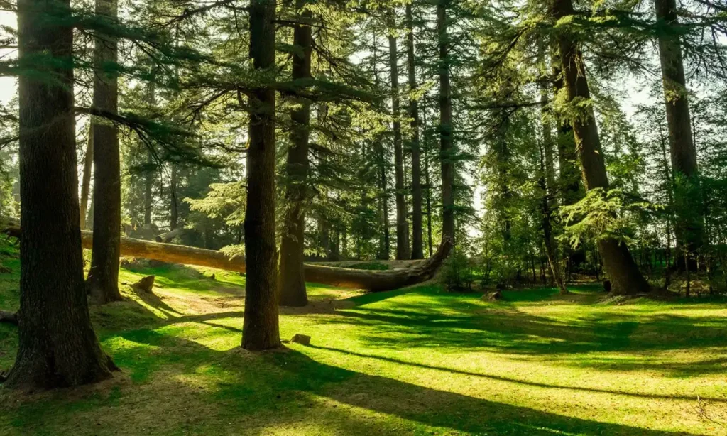 Kalatop Wildlife Sanctuary