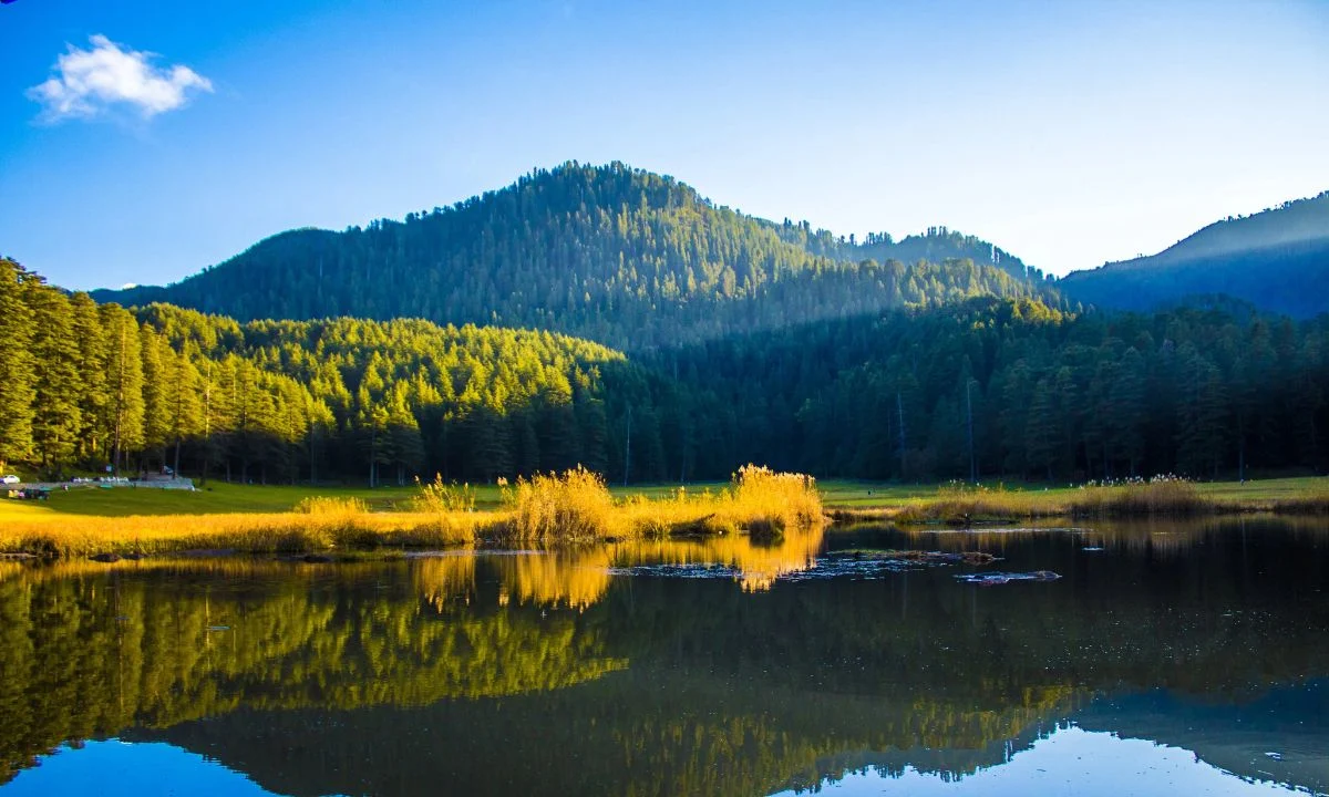 Things To See & Do In Khajjiar